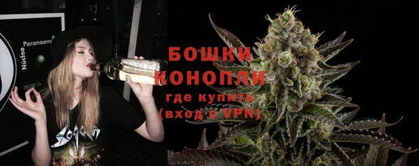 меф Пересвет