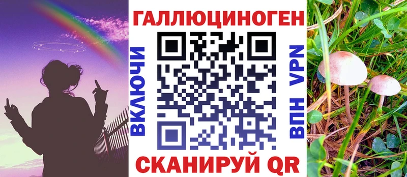 сколько стоит Котельниково Галлюциногенные грибы Psilocybine cubensis